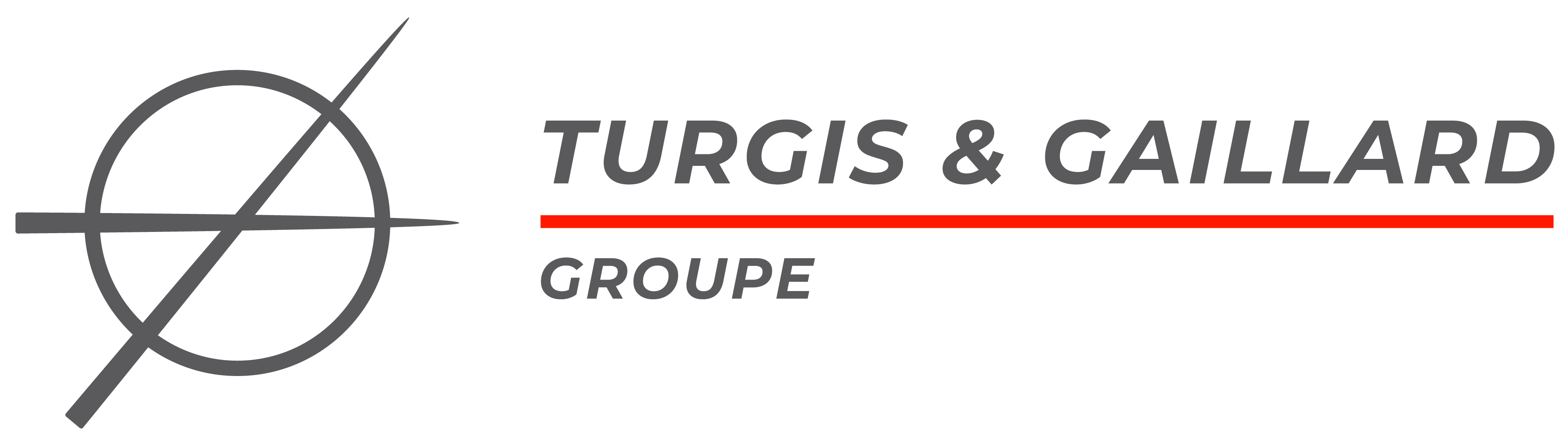 Turgis et Gaillard Groupe